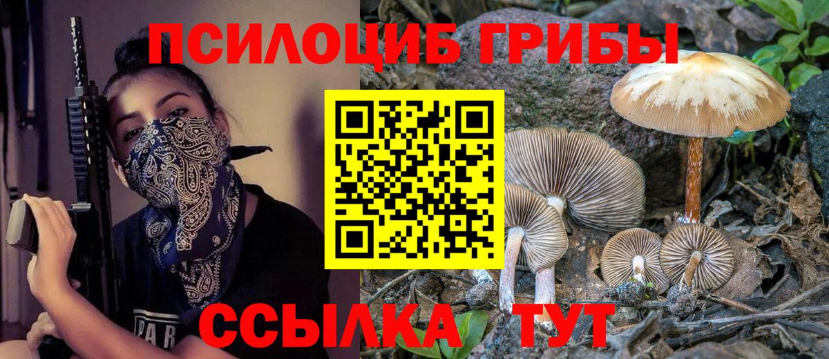 Псилоцибиновые грибы мухоморы Сланцы