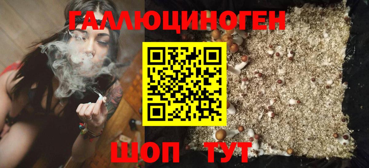 Бошки Шишки  Метадон  Амфетамин кристаллы  ЭКСТАЗИ  Метамфетамин  ГАШИШ  МАРИХУАНА  Мефедрон   Сланцы  APVP СК кристаллы  COCAIN  Вход с VPN 