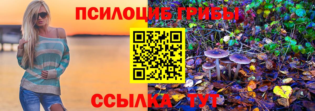 Сланцы  Псилоцибиновые грибы мицелий  Вход с VPN 